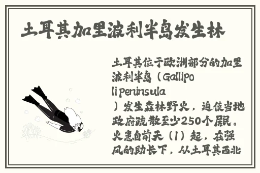 坤坤寒进桃子里的解决方法